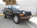 Black Clearcoat - Liberty Sport 4x4 Photo No. 1