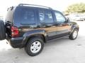 Black Clearcoat - Liberty Sport 4x4 Photo No. 7