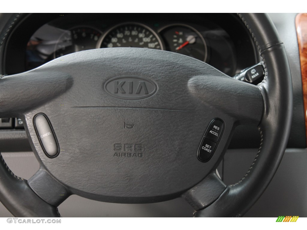 2004 Sedona EX - Midnight Black / Gray photo #8