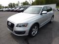 2010 Ice Silver Metallic Audi Q5 3.2 quattro  photo #3