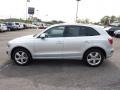 Ice Silver Metallic - Q5 3.2 quattro Photo No. 4