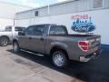 Sterling Gray Metallic - F150 XL SuperCrew Photo No. 3