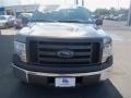 2012 Sterling Gray Metallic Ford F150 XL SuperCrew  photo #9