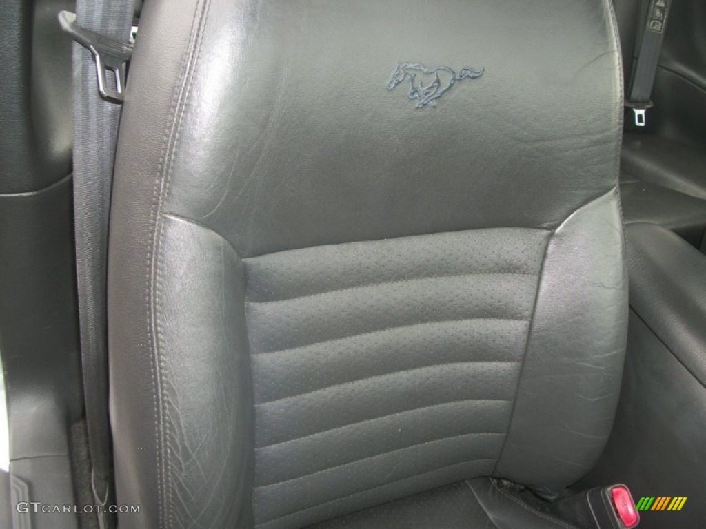 1999 Mustang GT Coupe - Silver Metallic / Dark Charcoal photo #22