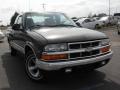 Medium Beige Mystique Metallic - S10 LS Extended Cab Photo No. 4