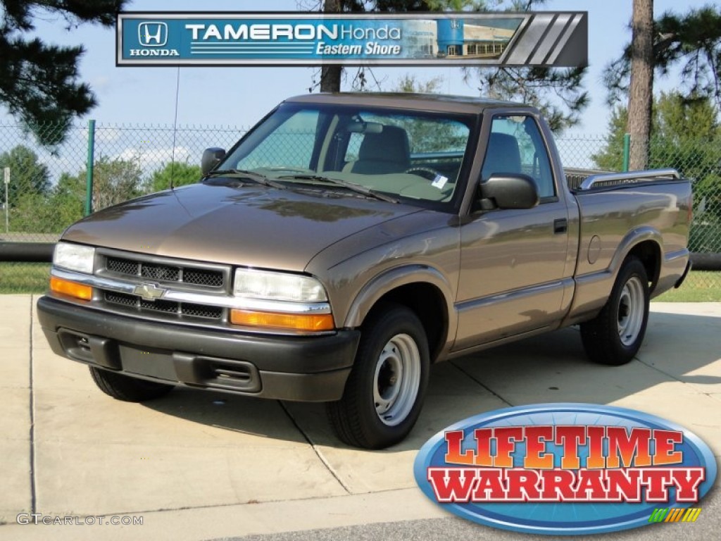 2003 S10 LS Regular Cab - Sandalwood Metallic / Medium Gray photo #1