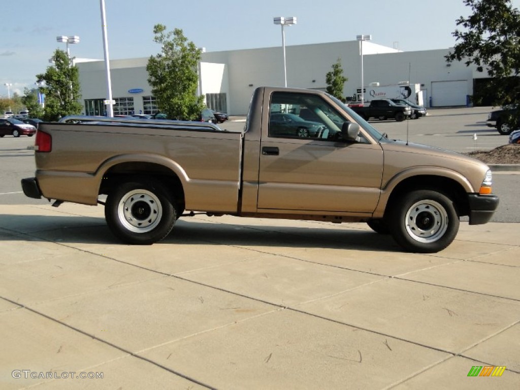 2003 S10 LS Regular Cab - Sandalwood Metallic / Medium Gray photo #3