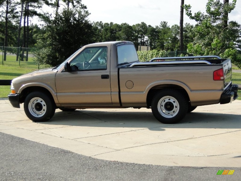 2003 S10 LS Regular Cab - Sandalwood Metallic / Medium Gray photo #6