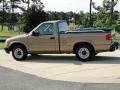 Sandalwood Metallic - S10 LS Regular Cab Photo No. 6