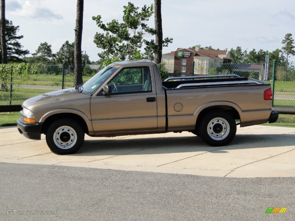 2003 S10 LS Regular Cab - Sandalwood Metallic / Medium Gray photo #7