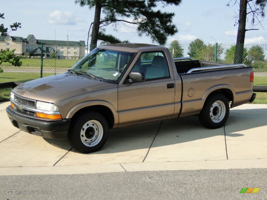 2003 S10 LS Regular Cab - Sandalwood Metallic / Medium Gray photo #8