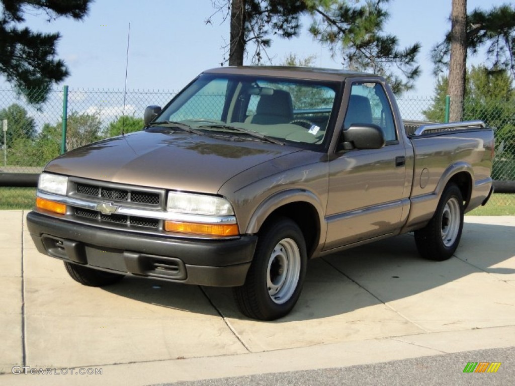 2003 S10 LS Regular Cab - Sandalwood Metallic / Medium Gray photo #9