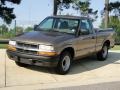 2003 Sandalwood Metallic Chevrolet S10 LS Regular Cab  photo #9