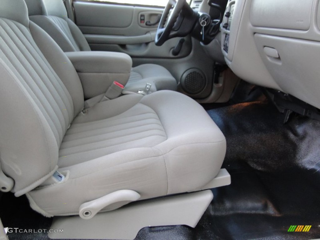 2003 S10 LS Regular Cab - Sandalwood Metallic / Medium Gray photo #22