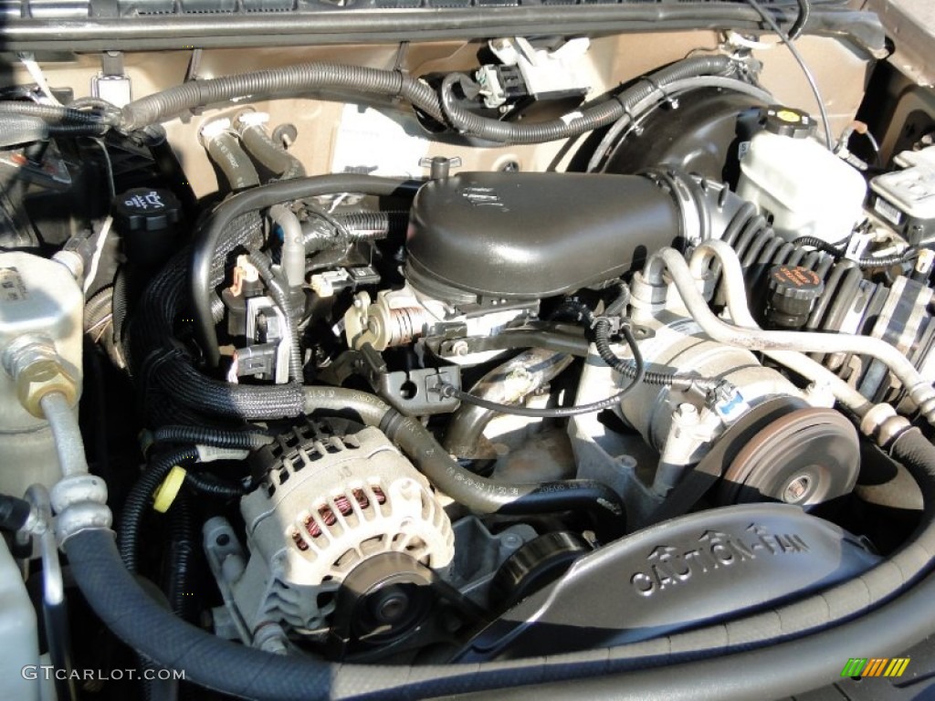 2003 S10 LS Regular Cab - Sandalwood Metallic / Medium Gray photo #23