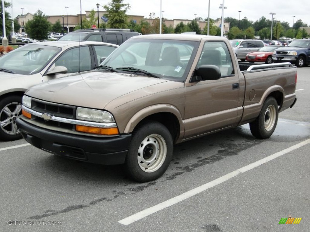 2003 S10 LS Regular Cab - Sandalwood Metallic / Medium Gray photo #29