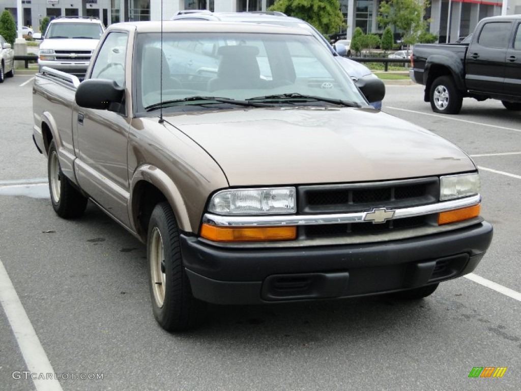 2003 S10 LS Regular Cab - Sandalwood Metallic / Medium Gray photo #30