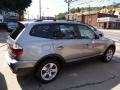 Silver Grey Metallic - X3 3.0si Photo No. 10