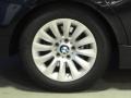 2009 Black Sapphire Metallic BMW 3 Series 328i Sedan  photo #12