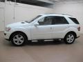 Alabaster White - ML 500 4Matic Photo No. 5