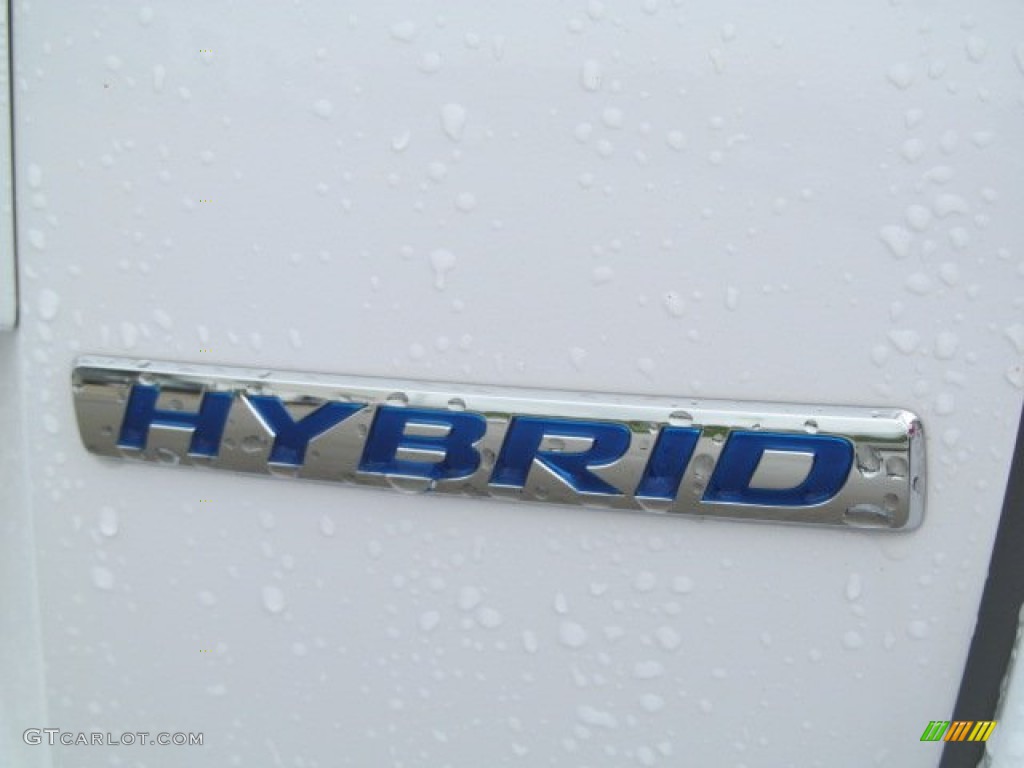 2010 Insight Hybrid EX - Spectrum White Pearl / Gray photo #3