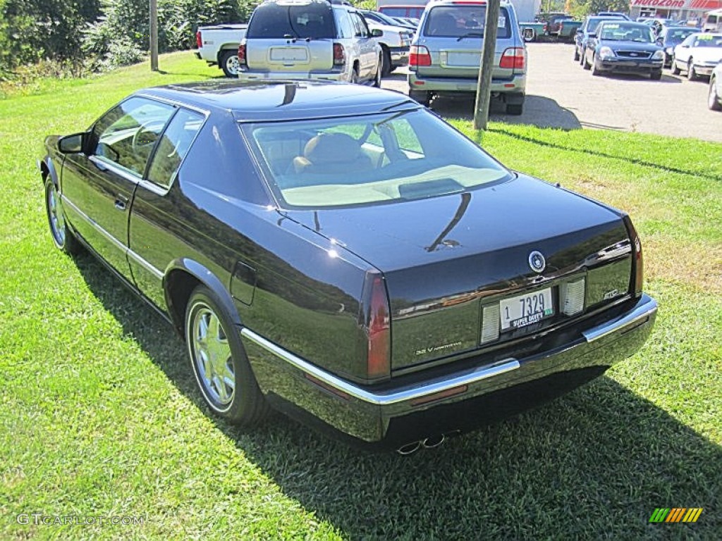 1995 Eldorado Touring - Sable Black / Shale photo #8