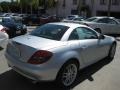 2009 Iridium Silver Metallic Mercedes-Benz SLK 300 Roadster  photo #2