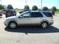 Silver Birch Metallic 2008 Ford Taurus X SEL AWD