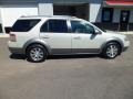 Silver Birch Metallic - Taurus X SEL AWD Photo No. 2