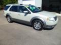 Silver Birch Metallic - Taurus X SEL AWD Photo No. 6