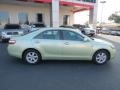 2009 Jasper Pearl Toyota Camry Hybrid  photo #8