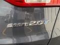  2013 Santa Fe Sport 2.0T Logo