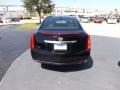 Black Raven - XTS Luxury FWD Photo No. 4