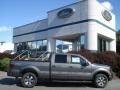 2013 Sterling Gray Metallic Ford F150 FX4 SuperCrew 4x4  photo #1