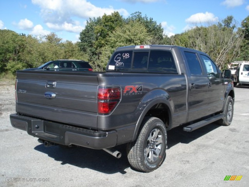 Sterling Gray Metallic 2013 Ford F150 FX4 SuperCrew 4x4 Exterior Photo #71036996