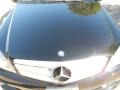 Black - C 300 Luxury Photo No. 14