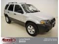 2007 Silver Metallic Ford Escape Hybrid  photo #1