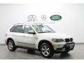 Alpine White - X5 3.0si Photo No. 1