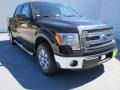 Kodiak Brown Metallic - F150 XLT SuperCrew Photo No. 1