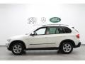Alpine White - X5 3.0si Photo No. 2