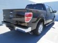 2013 Kodiak Brown Metallic Ford F150 XLT SuperCrew  photo #3