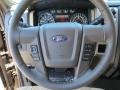 Adobe Steering Wheel Photo for 2013 Ford F150 #71045816