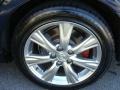 2010 Lexus GS 350 AWD Wheel and Tire Photo