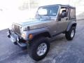 Light Khaki Metallic - Wrangler Rubicon 4x4 Photo No. 2