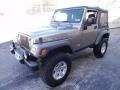 2005 Light Khaki Metallic Jeep Wrangler Rubicon 4x4  photo #2