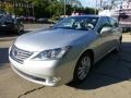 Tungsten Silver Pearl - ES 350 Photo No. 2