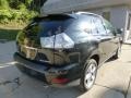 Black Onyx - RX 350 AWD Photo No. 11