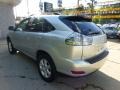 Millinnium Silver Metallic - RX 330 AWD Photo No. 9
