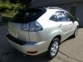 Millinnium Silver Metallic - RX 330 AWD Photo No. 11