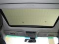 Mercury Silver Metallic - LS 460 Photo No. 41